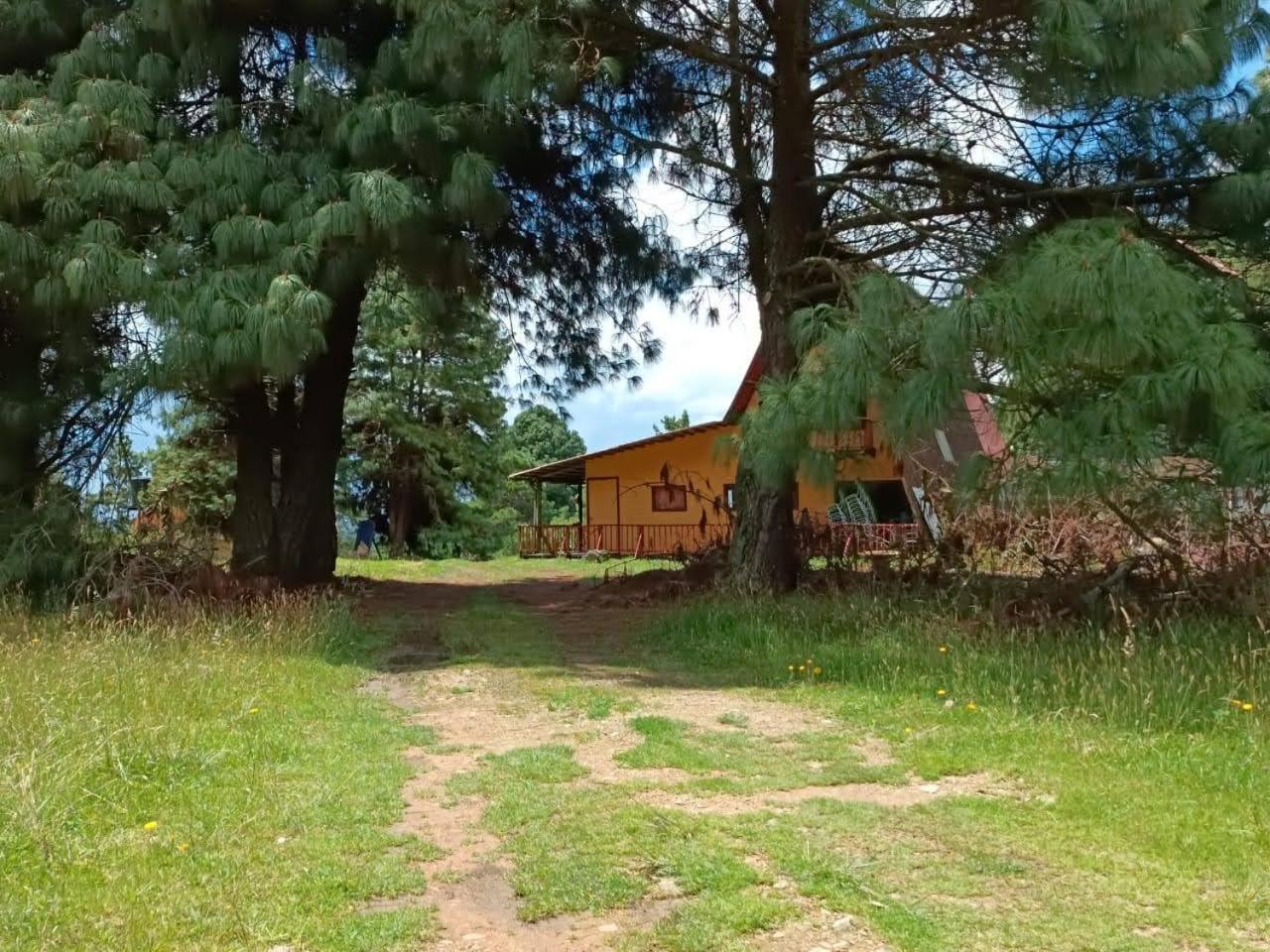 Chalets Amarelo ซูเอสกา ภายนอก รูปภาพ